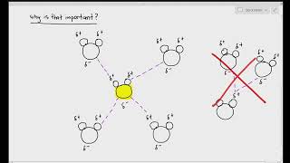 26 Hydrogen Bonds within Biological Molecules Cambridge International AS amp A Level Biology [upl. by Ydnahs760]