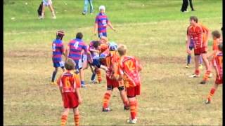 belrose eagles big hits u12 [upl. by Velvet]