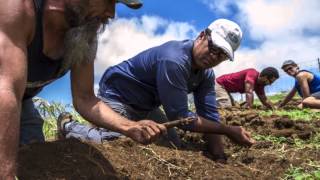 Unearthing Hawaiis lost agricultural traditions [upl. by Woods464]