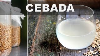 Estos son los 5 mejores beneficios del agua de cebada para la salud del cuerpo [upl. by Yntirb]