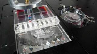 quotDisposable Pumpquot for Microfluidic Systems [upl. by Allis477]