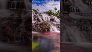 Caño Cristales The River of Five Colors in Colomba [upl. by Drahnreb]