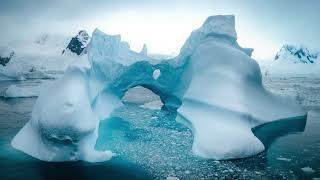 Giants of Nature The Silent Language of Icebergs iceberg polar nature [upl. by Wisnicki967]