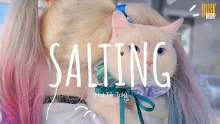 Salting remix cute  DJ Topeng  Dusk Music x Dangling Video Lyrics Tik Tok Song [upl. by Yer]