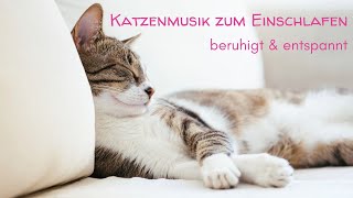 Katzenmusik zum Einschlafen  beruhigend und entspannend für Katzen amp ihre Freunde [upl. by Dranyar]