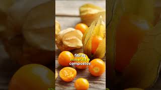 Physalis Melhorar a memória Prevenir a anemia e Evitar a diabetes ervasmedicinais medicinal [upl. by Deevan]