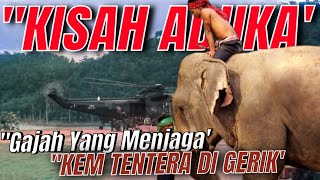 KISAH GAJAH ADUKAquotPENJAGA KEM TEMENGGOR BATALION INFANTRI 303 GERIK PERAK [upl. by Bartko]