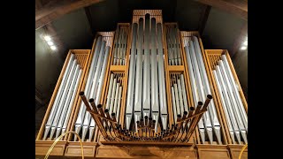 1965 Schlicker organ  Mount Olive Lutheran Church Minneapolis Minnesota [upl. by Kwapong99]