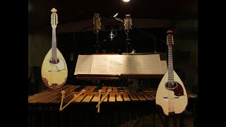 Vibraphone and MandolinMandola recording project [upl. by Iatnwahs886]