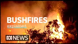 The science of bushfires explained  ABC News [upl. by Riehl]