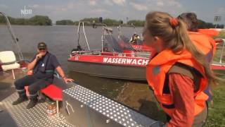 Hochwasser 2013 in der Elbtalaue bei Hitzacker  NaturNah [upl. by Rikki628]