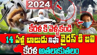 Nipah Virus In Kerala  Rise of Nipha Virus Cases 2024  Symptoms Of Nipah Virus  iDream Ayurveda [upl. by Haik]