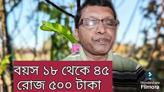 West Bengal job vacancy 2024। Job vacancy 2024। বয়স ১৮ থেকে ৪৫। রোজ ৫০০ টাকা [upl. by Ahsenit]