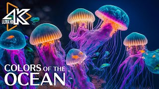 The Ocean 4K  Captivating Moments with Jellyfish and Fish in the Ocean  Relaxation Video 2 [upl. by Favian]