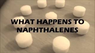 What Happens when NAPHTHALENE is exposed to [upl. by Ginni]