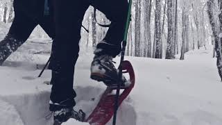 Ciaspolata alla Sellata  Sulla neve in Basilicata [upl. by Aicirtak912]