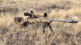 The Tikka T3x Review Stainless Lite 243 Best factory rifle for less than 1000 [upl. by Elbert]