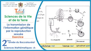 La transmission de linformation génétique par la reproduction sexuée 2Bac Sc Math a  Exercice [upl. by Coreen]