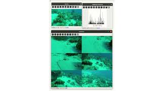 Online Informative Sampling using Semantic Features in Underwater Environments [upl. by Phia]