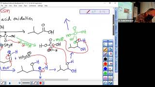 c241 Chromic Acid Oxidation of an Aldehyde Mechanism [upl. by Liahcim]