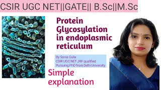 Protein glycosylation in Endoplasmic Reticulum [upl. by Akiemaj765]