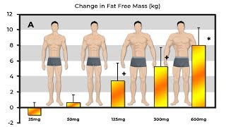 Exactly How Much Muscle Does 25mg 50mg 125mg 300mg amp 600mg Of Testosterone Build [upl. by Sweatt]