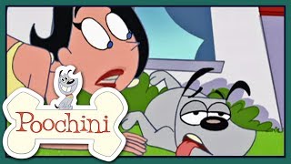 Poochini  Episode 8  The Visitor [upl. by Neerihs]