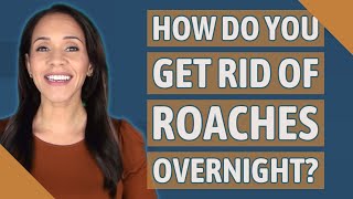 How do you get rid of roaches overnight [upl. by Assel]