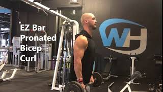 EZ Bar Pronated Bicep Curl [upl. by Khosrow]