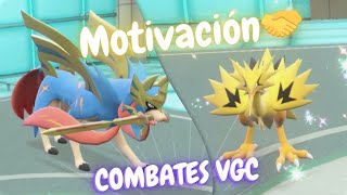 ZACIAN amp ZAPDOS GALAR una PAREJA PECULIAR 👌 COMBATES VGC👑 Pokémon SV  rentalteam playpokemon [upl. by Johannessen58]