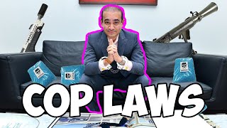 laws EVERYONE should know especially cops [upl. by Nyraf537]