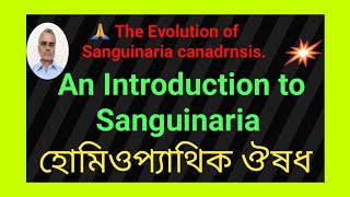 🙏The 5 Benifits Of Sanguinaria Canadensis  24 Hours to improving Sanguinaria DrSankarSir🌹💯❤️ [upl. by Anelak]