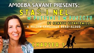 Ch 1 Stas i Nel  Polish Language Audiobook [upl. by Berlinda]