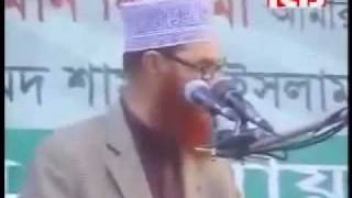 Heavy Weight Speech By Allama Deloar Hossain Saidi [upl. by Poliard]