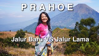 PENDAKIAN GUNUNG PRAU via PATAK BANTENG  Sejarah Jalur Prau TERLENGKAP [upl. by Bronnie]