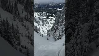 SkierTriggered Avalanche in Super Couloir [upl. by Nyssa244]