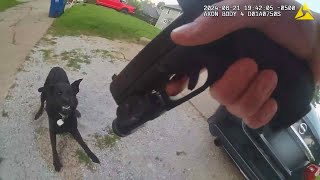 Police Bodycam Footage Shows Cop Shooting Family Dog [upl. by Goldsworthy471]