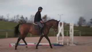 Le changement de pied à cheval  Equidia Life [upl. by Gnus]