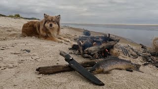 Henty River Catch and Cook  Walk Through the Henty Sand Dunes [upl. by Rigby]