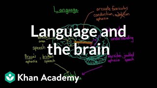 Language and the brain Aphasia and splitbrain patients  MCAT  Khan Academy [upl. by Haikezeh]