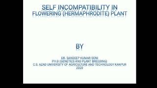 Selfincompatibility System in Plants [upl. by Costanza]