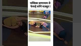 Yoga For Lungs भस्त्रिका प्राणायाम से फेफड़े बनेंगे मजबूत  shorts yogatips indiatvyoga [upl. by Einnel]