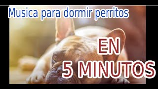 MUSICA para DOMIR PERROS en 5 MINUTOS [upl. by Marie]