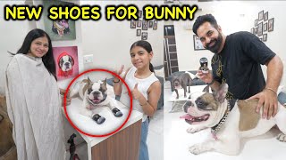 New Shoes for our Dog Bunny 🐶  Harpreet SDC [upl. by Weiman]