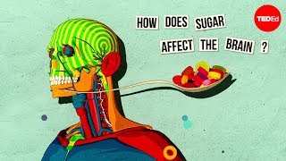 How sugar affects the brain  Nicole Avena [upl. by Gney404]