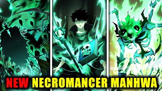 He gained the hidden class of a Necromancer but put all his skill points in Strength  Manhwa Recap [upl. by Aehtela941]