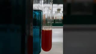 Liebermanns test for phenol chemistry practical class12 [upl. by Hayifas645]