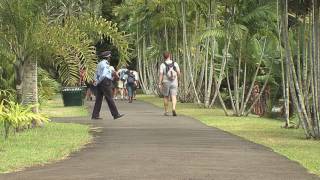 Pamplemousse Botanical Garden in Mauritius [upl. by Spanjian756]