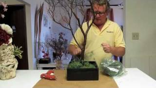 Manzanita Branch Centerpieces HowTo 1 [upl. by Ginder]