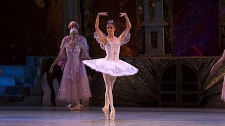 EXTRACT  Dance of the Sugar Plum Fairy  NUTCRACKER Tchaikovsky  National Opera of Ukraine [upl. by Lateh]